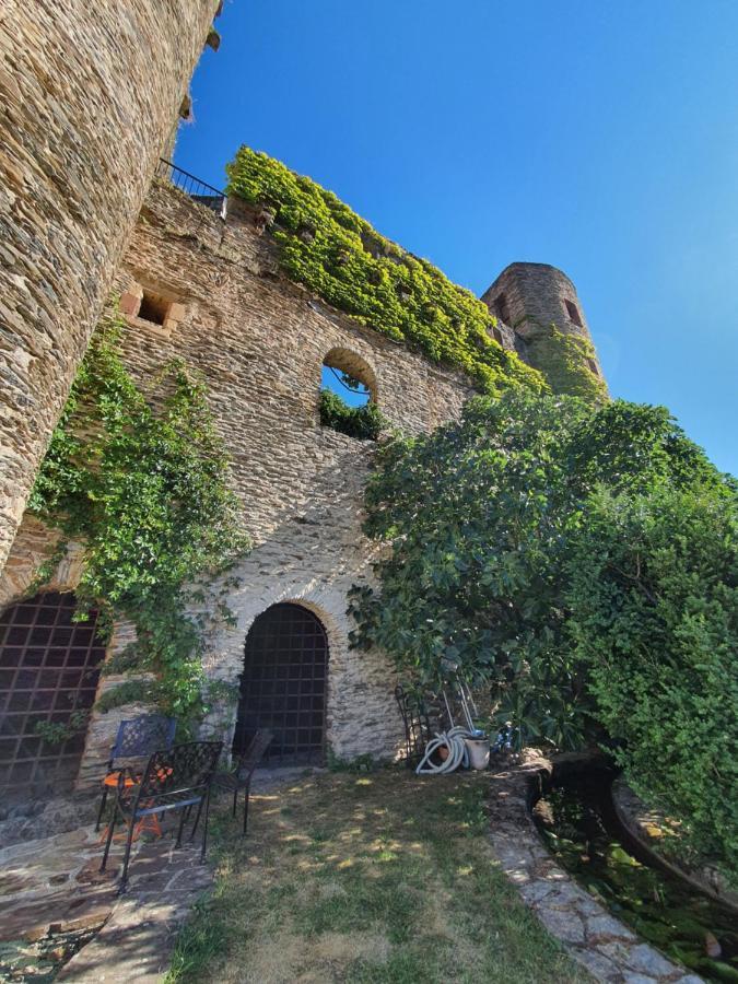 Chambre D'Hotes Au Chateau De Belcastel Esterno foto