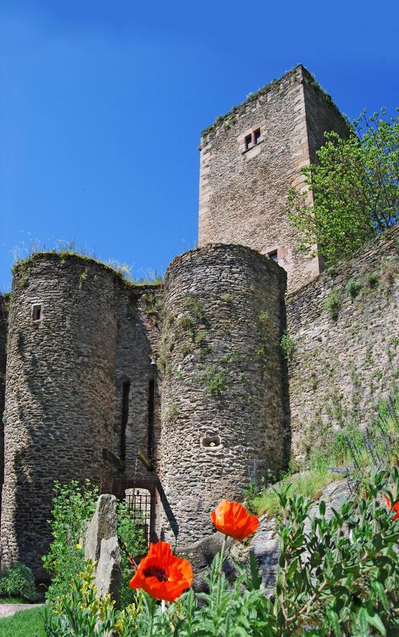 Chambre D'Hotes Au Chateau De Belcastel Esterno foto