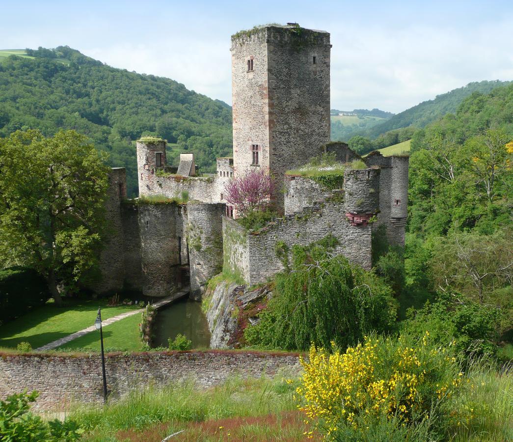 Chambre D'Hotes Au Chateau De Belcastel Esterno foto